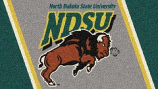 Beware The NDSU Bison